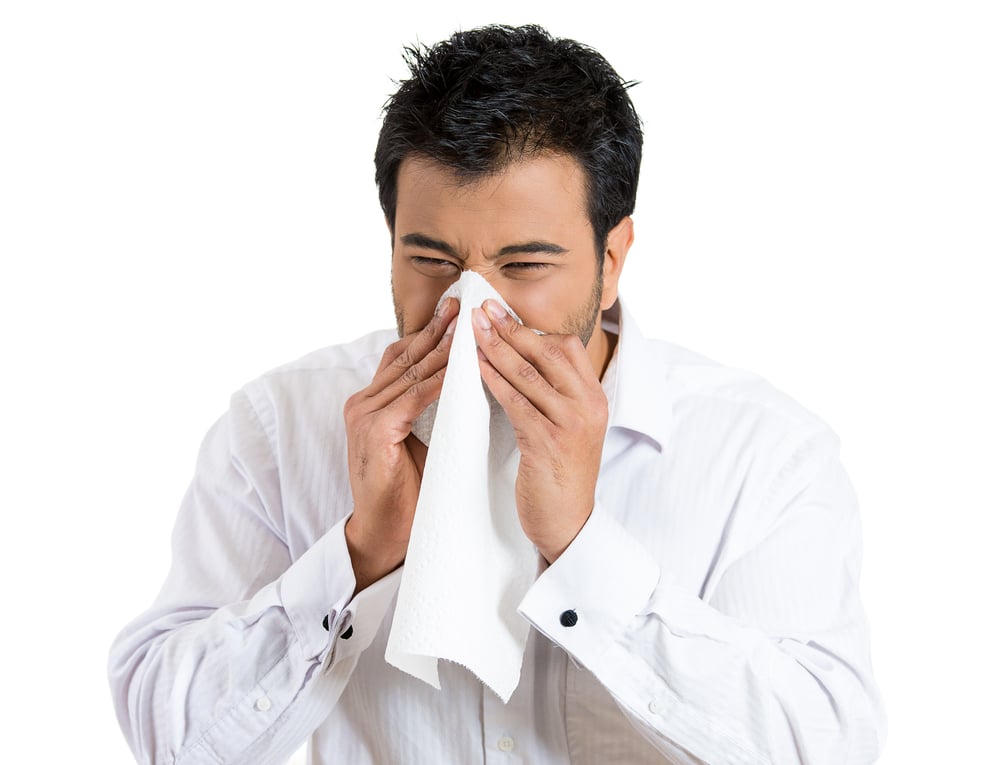 Closeup portrait of sick young man student or worker with allergy or germs cold, blowing his nose with kleenex, looking miserable unwell very sick, isolated on white background. Flu season, vaccine,